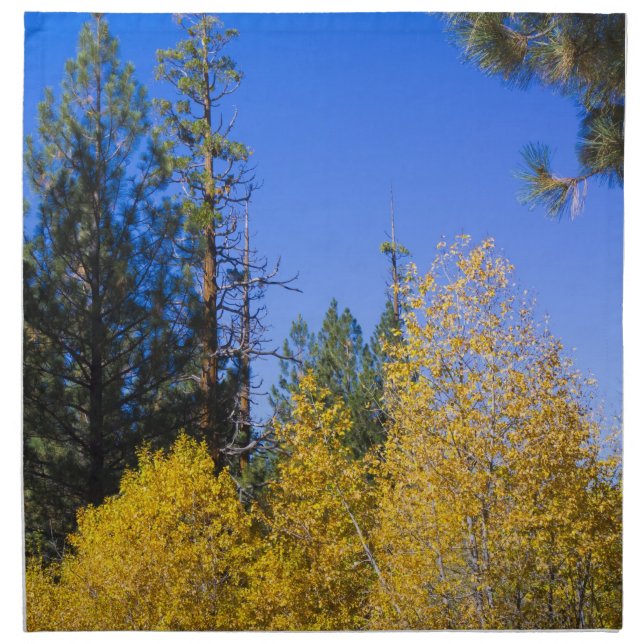 Autumn 5 cloth napkin (Front)