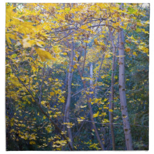 Autumn 6 cloth napkin