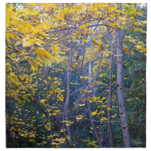 Autumn 6 cloth napkin (Front)