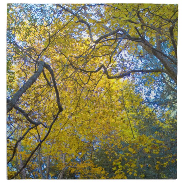 Autumn 7 napkin (Front)