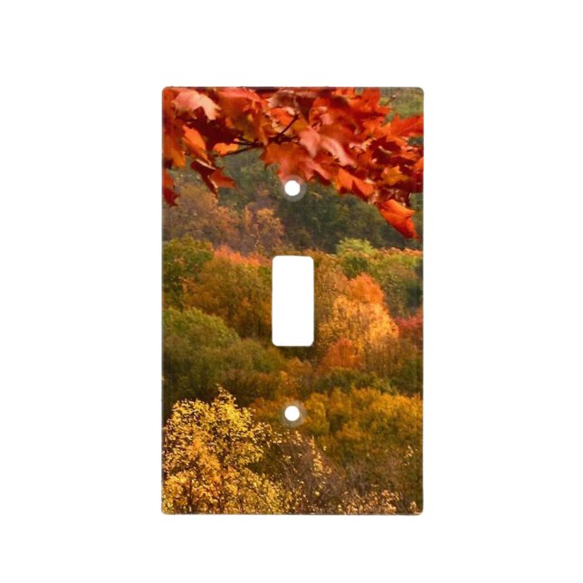 Autumn Abstract Light Switch Cover (Front)