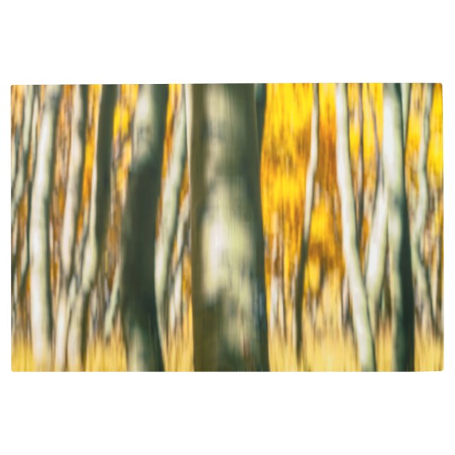 Autumn Abstract Metal Print (Front)