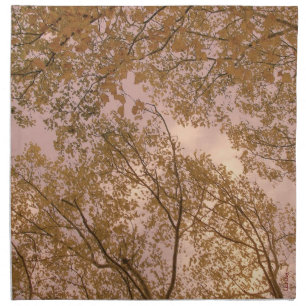 'Autumn Abstract' Napkins