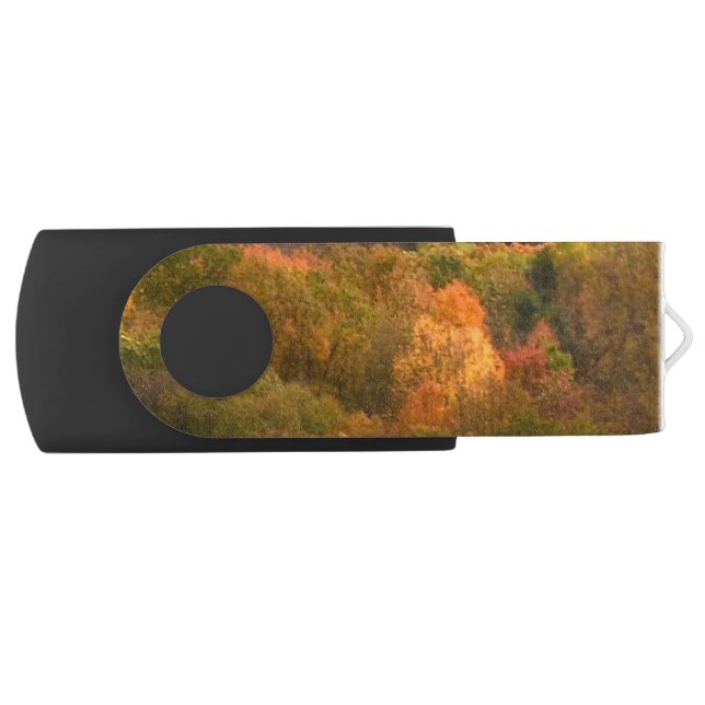 Autumn Abstract Swivel USB 2.0 Flash Drive (Front)