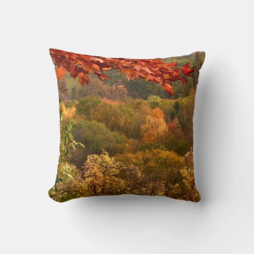 Autumn Abstract Throw Pillow