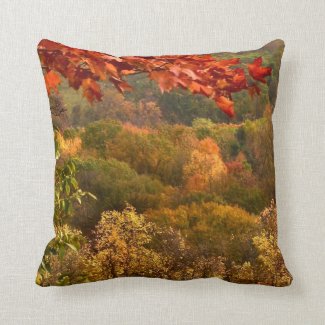 Autumn Abstract Throw Pillow