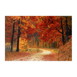 Autumn Acrylic Print