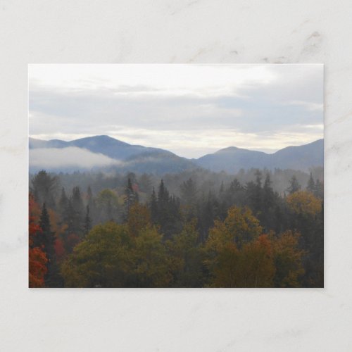 Autumn Adirondacks Trees Scene Landscape Postcard