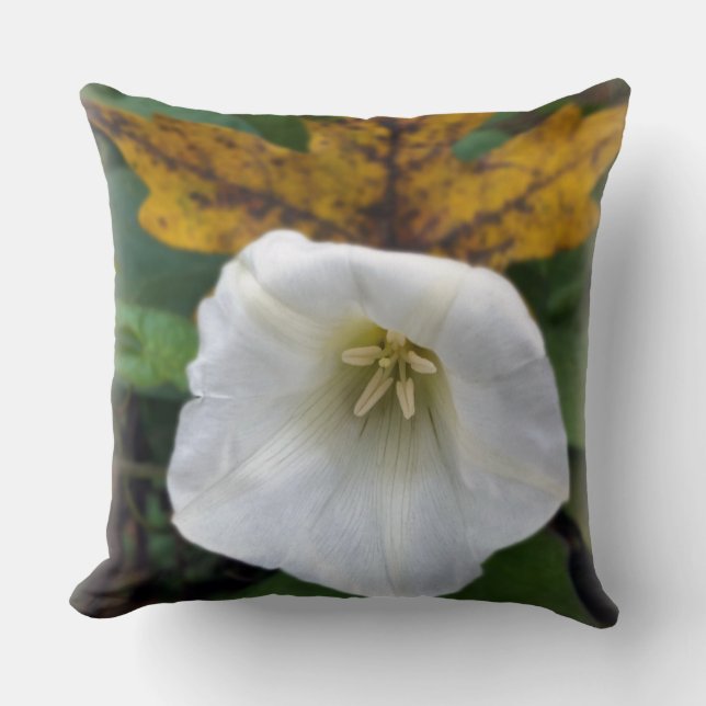 autumn after summer throw pillow (Front)