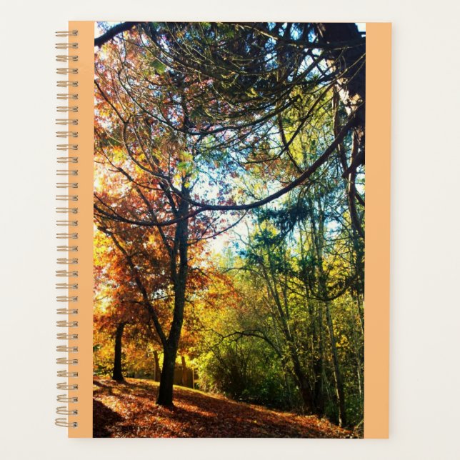 Autumn Afternoon Planner (Front)