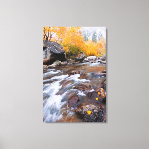 Autumn along Bishop Creek CA Canvas Print