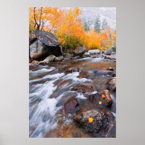 Autumn along Bishop Creek CA Poster