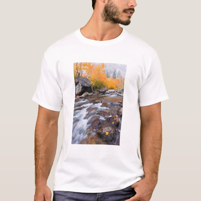 Autumn along Bishop Creek, CA T-Shirt (Front)