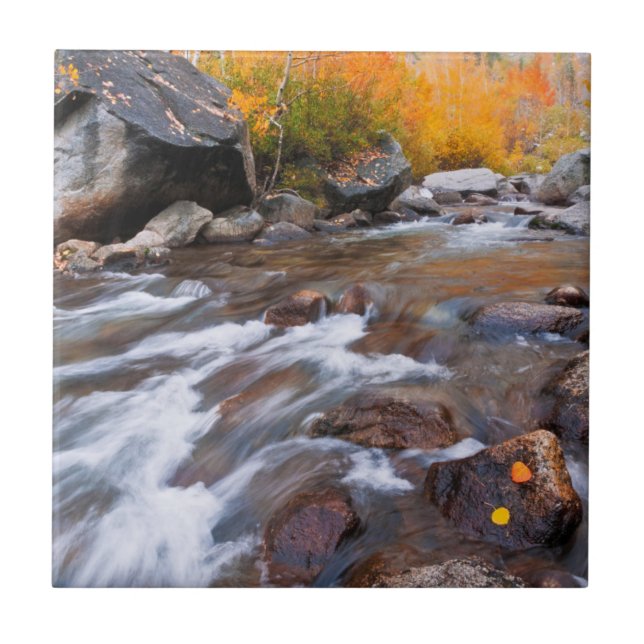 Autumn along Bishop Creek, CA Tile (Front)