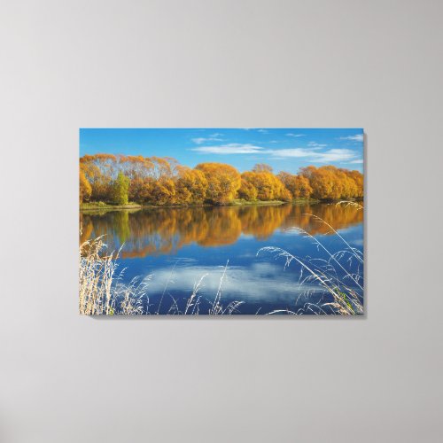 Autumn Along the Clutha River Canvas Print