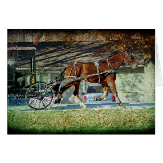Autumn Amish Buggy Horse Cards (Front Horizontal)