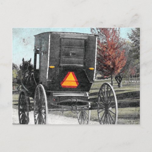 Autumn Amish Buggy Postcard