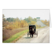 Autumn Amish Horse and Buggy (Front Horizontal)
