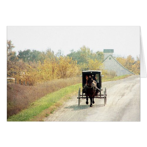 Autumn Amish Horse and Buggy