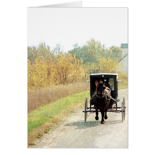 Autumn Amish Horse and Buggy Cards (Front)