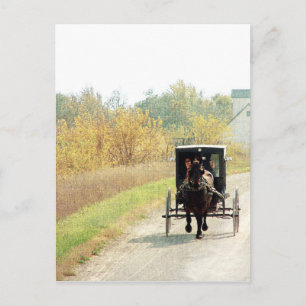 Autumn Amish Horse and Buggy Postcard