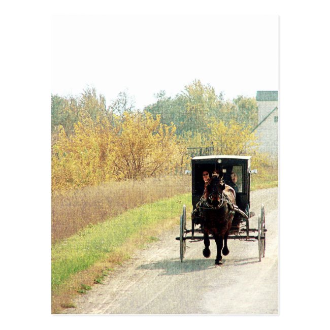 Autumn Amish Horse and Buggy