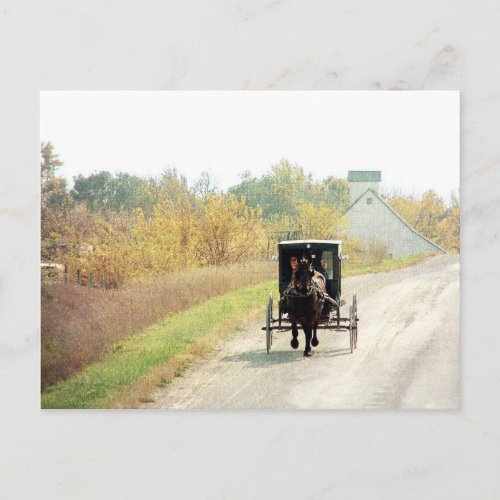 Autumn Amish Horse and Buggy Postcard