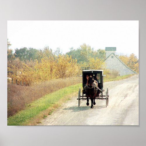 Autumn Amish Horse and Buggy Poster