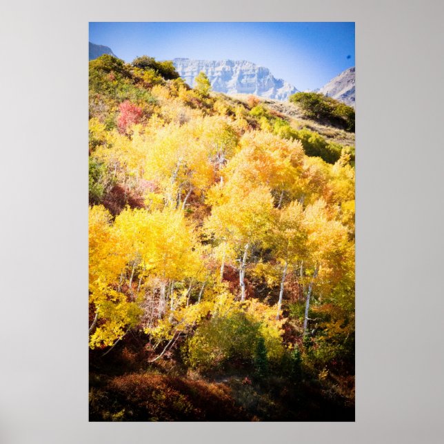 Autumn and Timp Poster (Front)