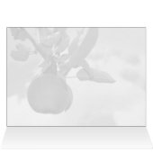Autumn apple and clouds - blank card (Inside Horizontal (Top))