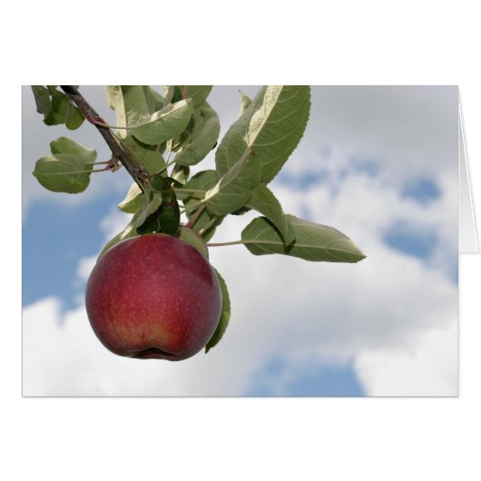 Autumn apple and clouds - blank card (Front Horizontal)