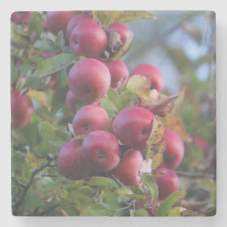 Autumn Apple Stone Coaster