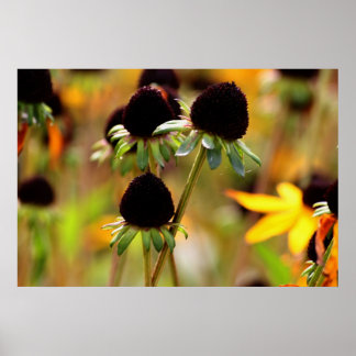 Autumn Approachs Poster