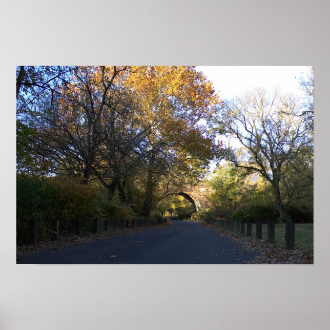 Autumn Arched Bridge in Park Poster (Front)