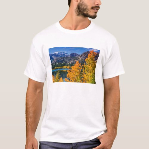 Autumn around June Lake California T_Shirt