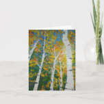 Autumn Aspen Card