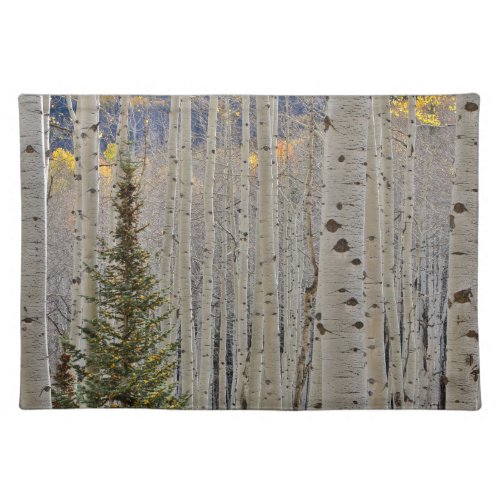 Autumn Aspen Groves  Colorado Rocky Mountains Cloth Placemat