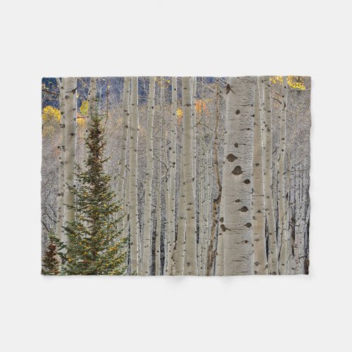 Autumn Aspen Groves  Colorado Rocky Mountains Fleece Blanket