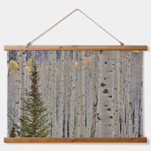 Autumn Aspen Groves  Colorado Rocky Mountains Hanging Tapestry
