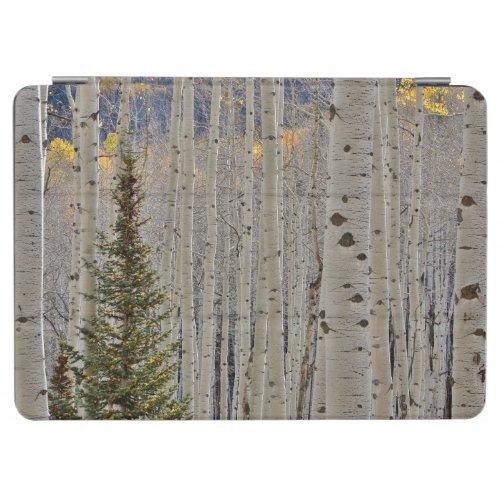 Autumn Aspen Groves  Colorado Rocky Mountains iPad Air Cover