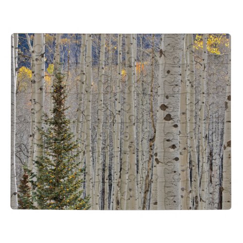 Autumn Aspen Groves  Colorado Rocky Mountains Jigsaw Puzzle