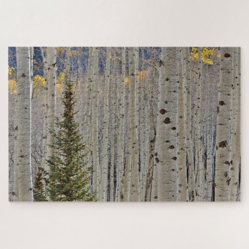 Autumn Aspen Groves  Colorado Rocky Mountains Jigsaw Puzzle