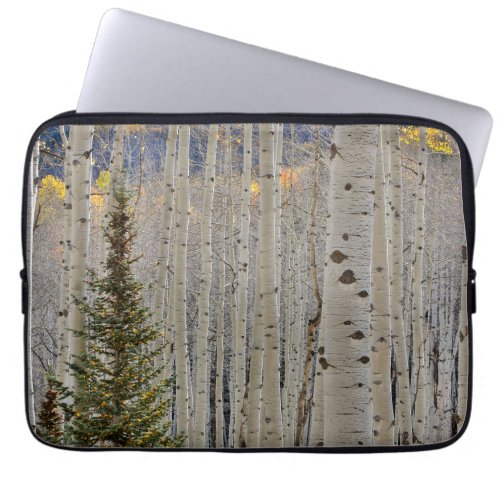 Autumn Aspen Groves  Colorado Rocky Mountains Laptop Sleeve