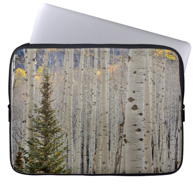 Autumn Aspen Groves | Colorado Rocky Mountains Laptop Sleeve (Front)