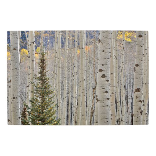 Autumn Aspen Groves  Colorado Rocky Mountains Metal Print