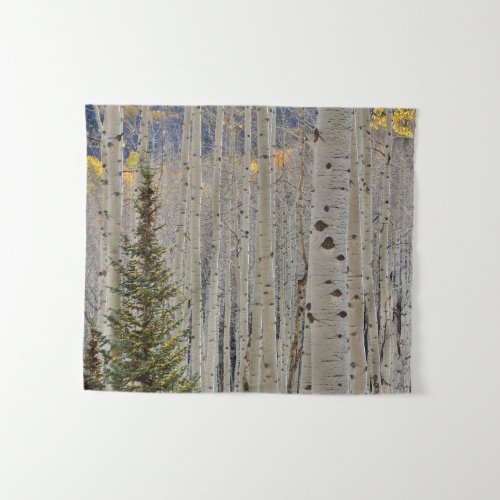 Autumn Aspen Groves  Colorado Rocky Mountains Tapestry