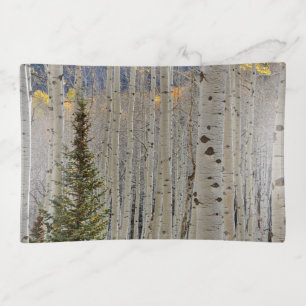 Autumn Aspen Groves Colorado Rocky Mountains Trinket Tray