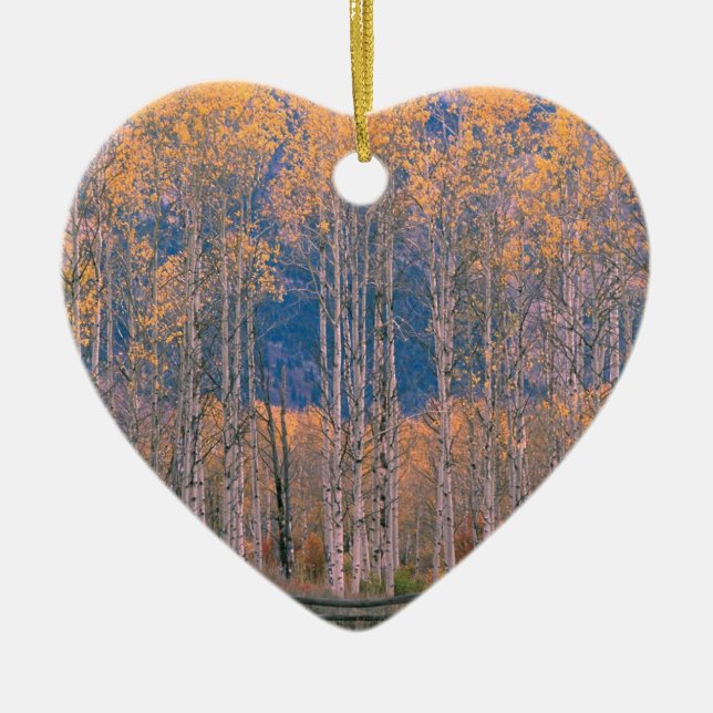 Autumn Aspen Splendor Jackson Hole Wyoming Ceramic Ornament (Front)