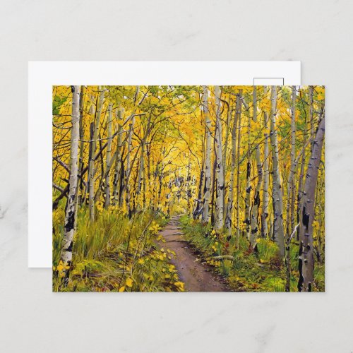 Autumn Aspen Tree Forest Postcard