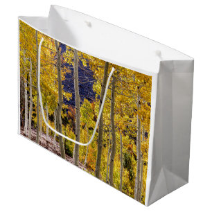 Autumn Aspen Trees, Fall, large gift bag